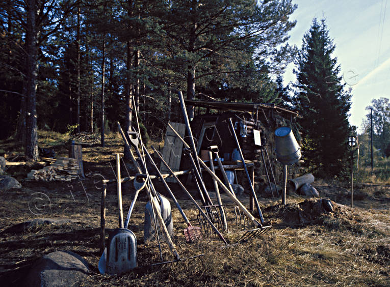 big forest, charcoal, charcoal, charcoal cabin, charcoal kiln, charcoal pit, forestry, wasteland, wilderness, woodland, work