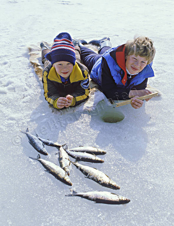 angling, fishing, fishing through ice, ice fishing, ice fishing, ice fishing, jig, dap, whitefish, whitefish fishery, winter fishing
