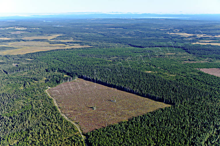 aerial photo, aerial photo, aerial photos, aerial photos, clear-felled area, cutting area, drone aerial, drnarfoto, forestry, Jamtland, landscapes, summer, vindmtarmast, woodland, work