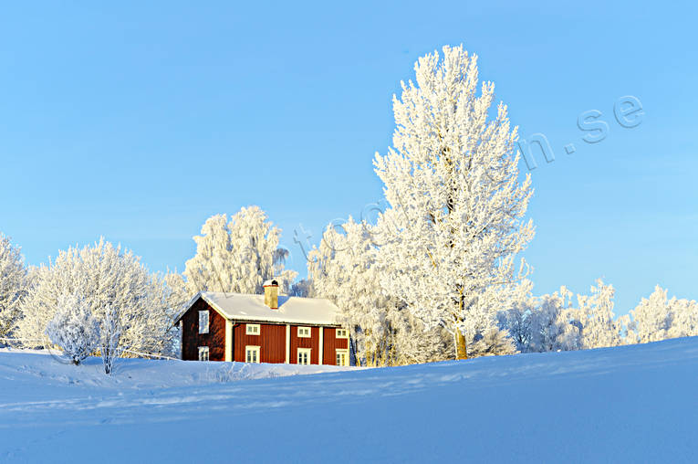 atmosphere, buildings, cabins, cottage, Jamtland, season, seasons, winter