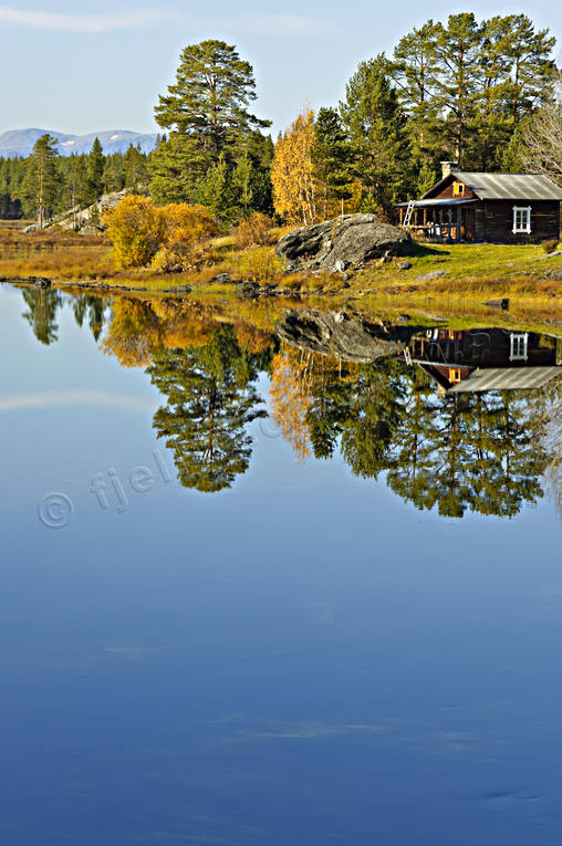 autumn, autumn colours, Jamtland, landscapes, season, seasons, torsborg