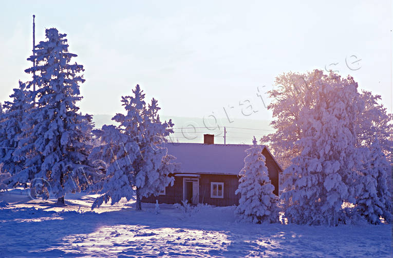 ambience, ambience pictures, atmosphere, cabins, christmas ambience, christmas card, cottage, Jamtland, snow, winter