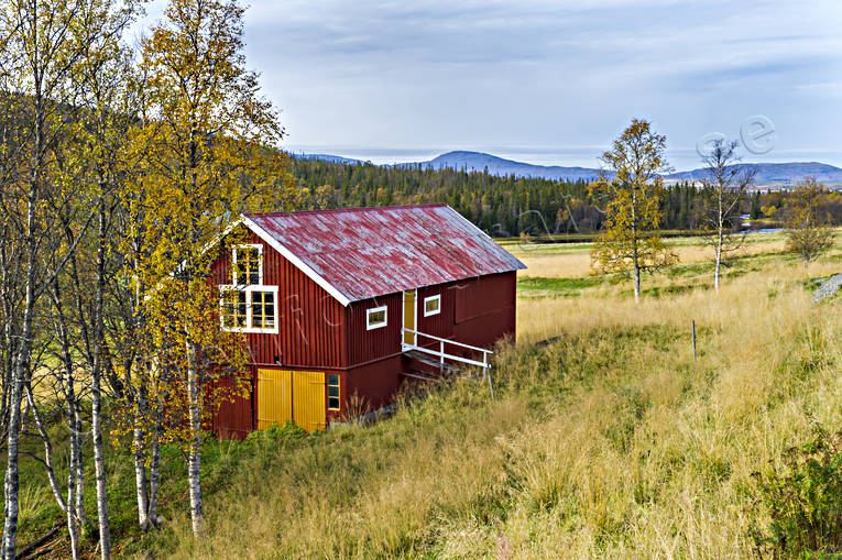 autumn, buildings, cowshed, farms, house, installations, Jamtland, landscapes, mire