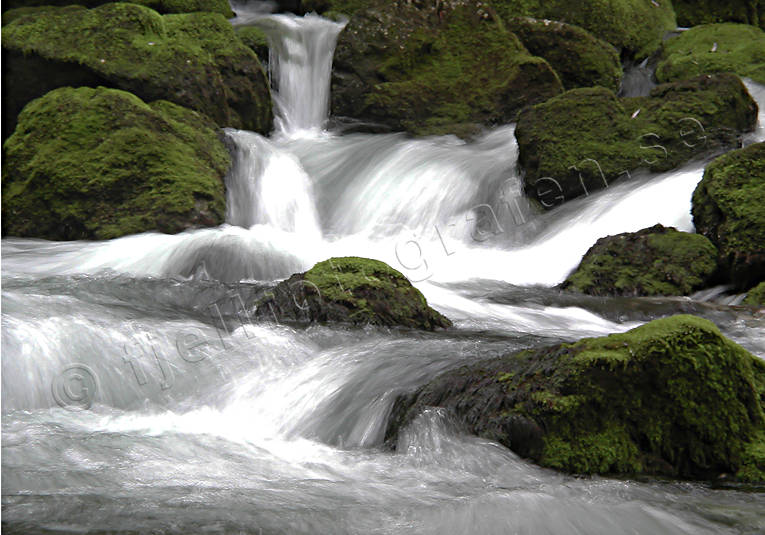 ambience, ambience pictures, autumn, creek, green, nature, running, stream, vatten, water, water fall, woodland