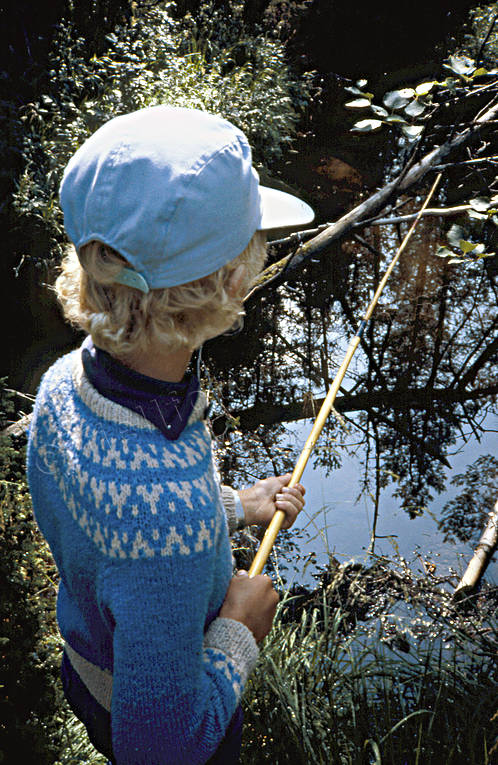 angling, angling, boy, creek angling, fishing, summer, Valbacken, Vlbacksn