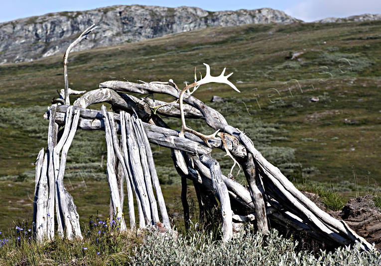alpine, dilapidated, landscapes, Lapland, mountain, mountain top, mountains, national park, old, Padjelanta, ramshackle, reindeer horn, sami culture, summer, teepee, teepee, vergiven