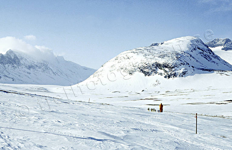 dogsled, Herrklumpen, Jamtland, landscapes, mountain, sylarna, winter