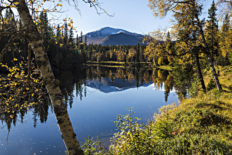 alpine, ambience, autumn, autumn colours, birch, birch leaf, Enafors, Enaforsholm, Enan, Enalv, Enalven, Jamtland, landscapes, mountain, mountain peaks, mountain top, nature, river, Snasen, Storsnasen