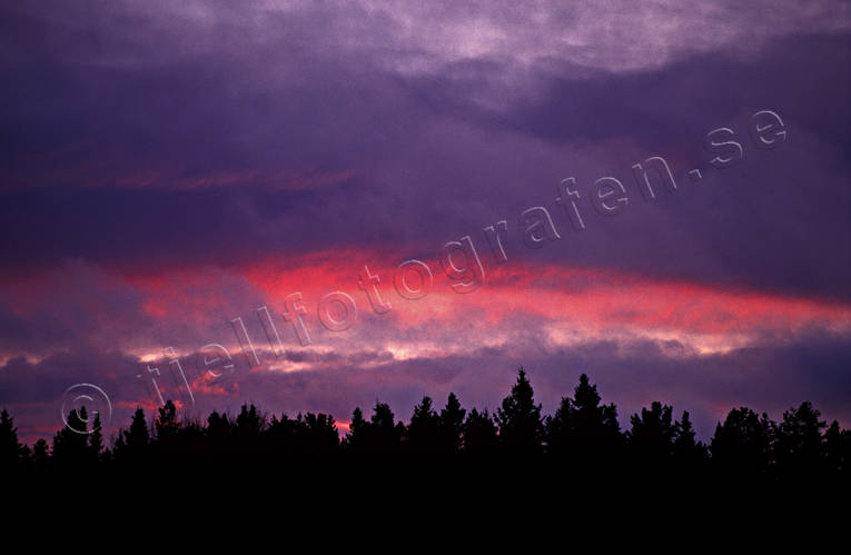 celestial phenomen, cloud, drama, dramatics, evening, evening light, forest land, light, nature, sky, woodland