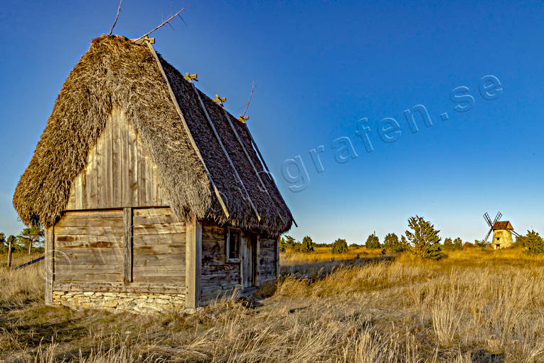 buildings, Fr, Gotland, halmtak, strtak, summer