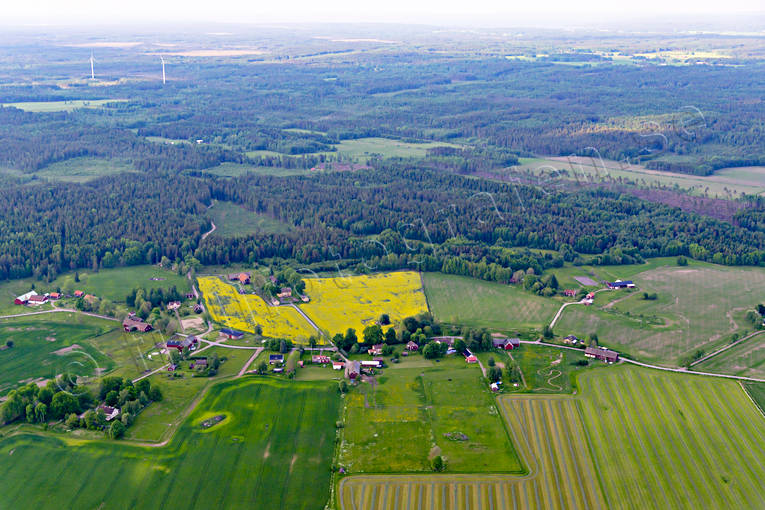 aerial photo, aerial photo, aerial photos, aerial photos, agriculture district, buildings, drone aerial, drnarfoto, farms, landscapes, rapsflt, Sjtorp, Slttervalla, summer, village, villages, Vstergtland