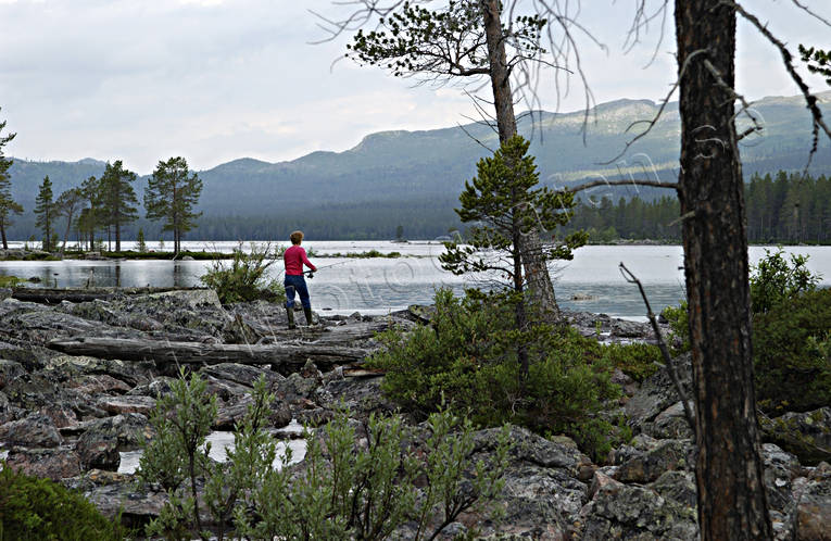 fishing, landscapes, Lapland, Pite river, river, Skuppe, spin fishing, summer, tourist fishing, wilderness