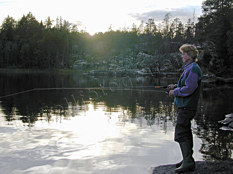 angling, fishing, Forsan, reel, reel fishing, spin fishing, spinning