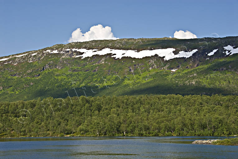 alpine birch, kuoddujaure, landscapes, Lapland, mountain slope, mountains, snowy patches, summer, växtlighet