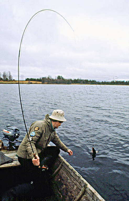 angling, boat, fishing, flyfishing, northern pike fishing, pike, rowboat