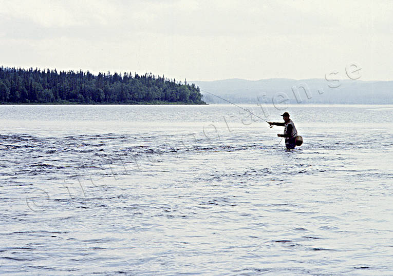 angling, fishing, flyfishing, Gev lake, Gevsjo stream