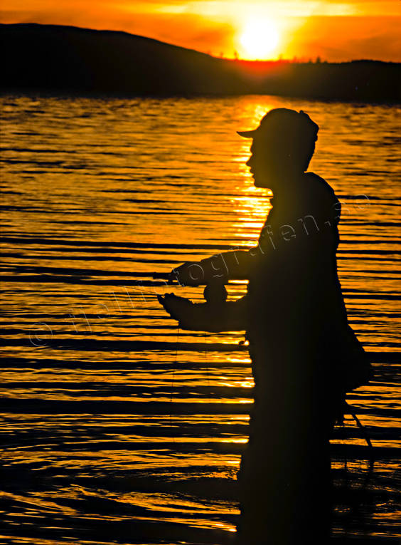 anglers, angling, backlight, dry fly, evening fishing, fishing, flyfishing, Great Lake, lake fishing, night fishing, sunset, swimfeeder