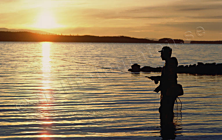 angling, fishing, flyfishing, grayling, grayling fishing, Great Lake