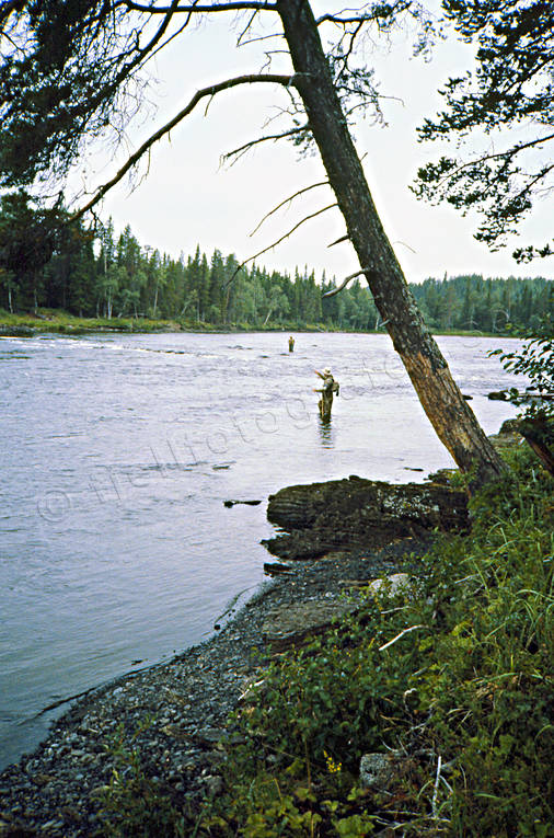 angling, fishing, fishing spots, flyfishing, Jamtland, Langan