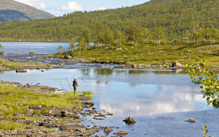 anglers, anglers, angling, drmfiske, flyfishing, Lapland, mountain fishing, summer fishing