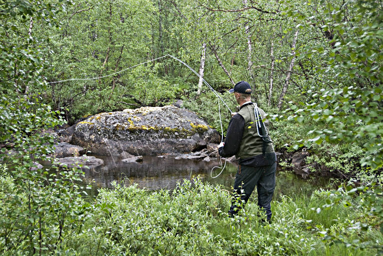 anglers, angling, creek angling, creek fishing, fishing, flyfishing, Lapland, smygfiske