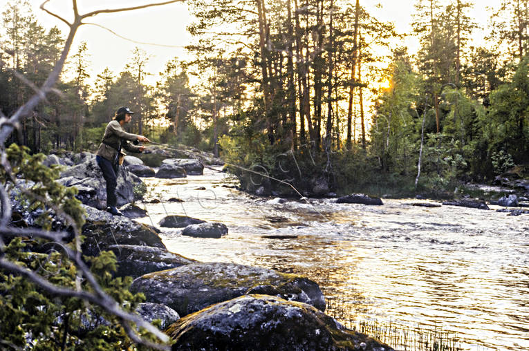 anglers, angling, backlight, evening, evening sun, flyfishing, Herrevad stream, herrevad stream, swimfeeder