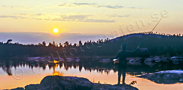 ambience, ambience pictures, angling, atmosphere, backlight, evening fishing, fishing, flyfishing, insects, sunset, swimfeeder