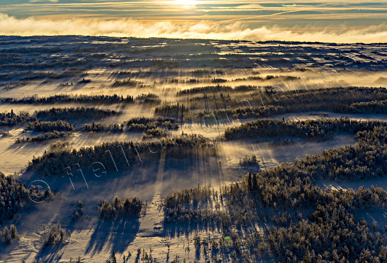 aerial photo, aerial photo, aerial photos, aerial photos, bog soils, cold, cold, deserted, drone aerial, drnarfoto, fog, Jamtland, landscapes, marsh lands, myrholmar, wasteland, wilderness, winter