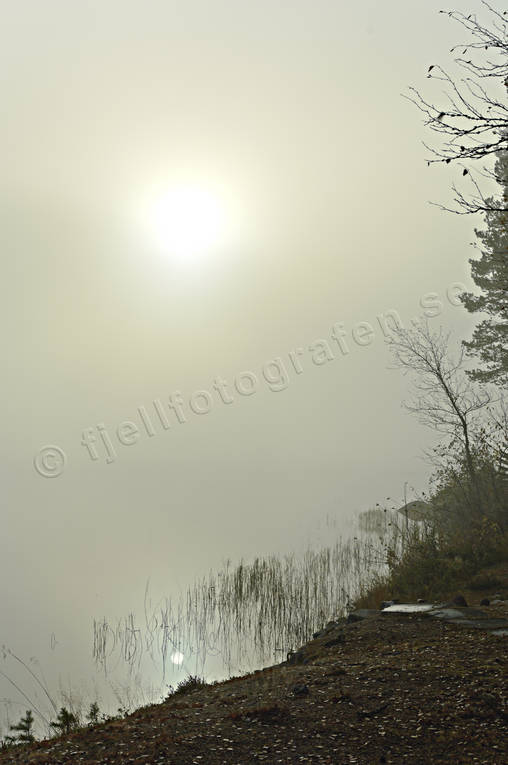 autumn, fog, Herjedalen, lake, landscapes, season, seasons