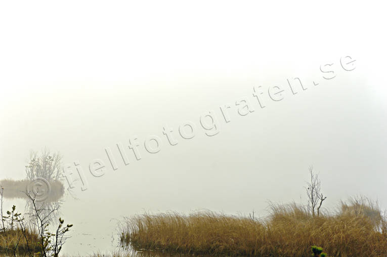 autumn, fog, Herjedalen, lake, landscapes, season, seasons
