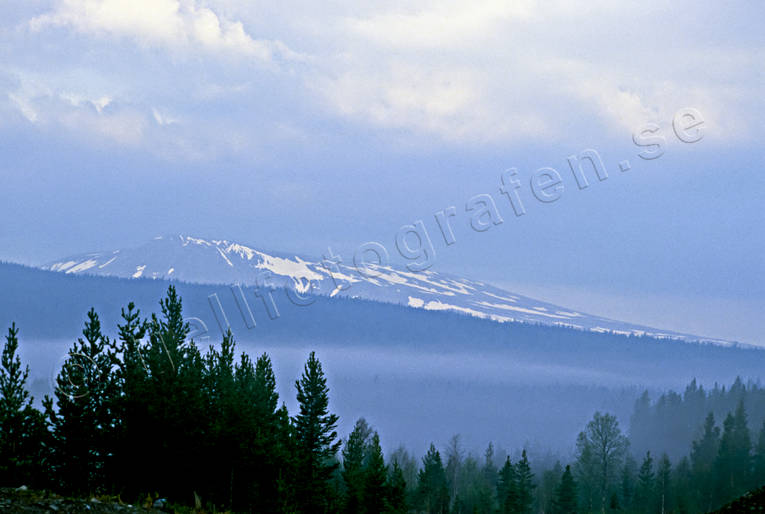 fog, Herjedalen, mountain forest, season, seasons, sky, Sonfjället, spring