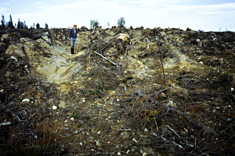 clear-felled area, cutting area, environment, environmental damage, environmental influence, fell, felling, forest ploughing, forestry, ground preparation, logging, nature, plough, ploughed, ploughing, ploughing of cut-over area, pollution, turrow slices, woodland, work