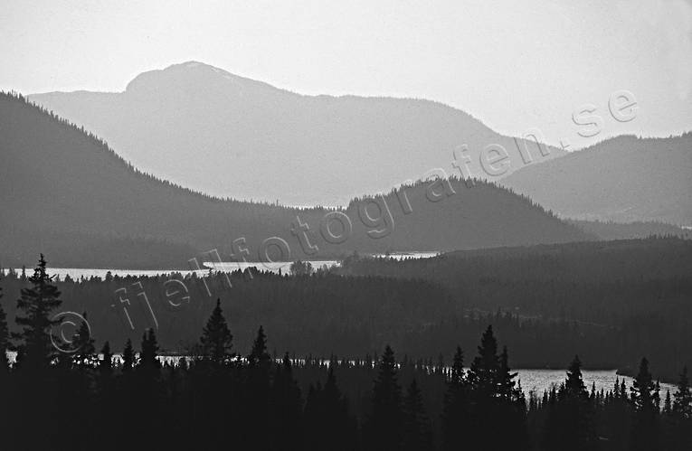 black-and-white, forests, Jamtland, lakes, landscapes, mountain, spring, Vattudalen