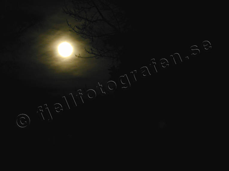 ambience, ambience pictures, atmosphere, autumn, darkness, full moon, ghostly, moon, moonlight, night, season, seasons