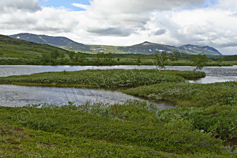 landscapes, Lapland, national park, Padjelanta, summer