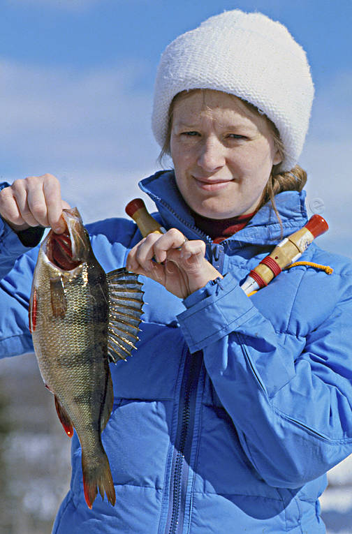 angling, fishing, ice fishing, ice fishing, perch, perch fishing, winter fishing