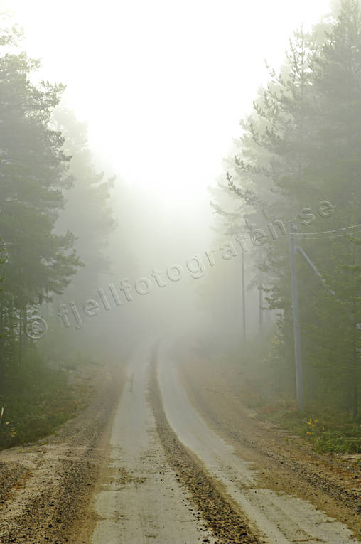 autumn, communications, fog, gravel road, Herjedalen, land communication, landscapes, road, season, seasons