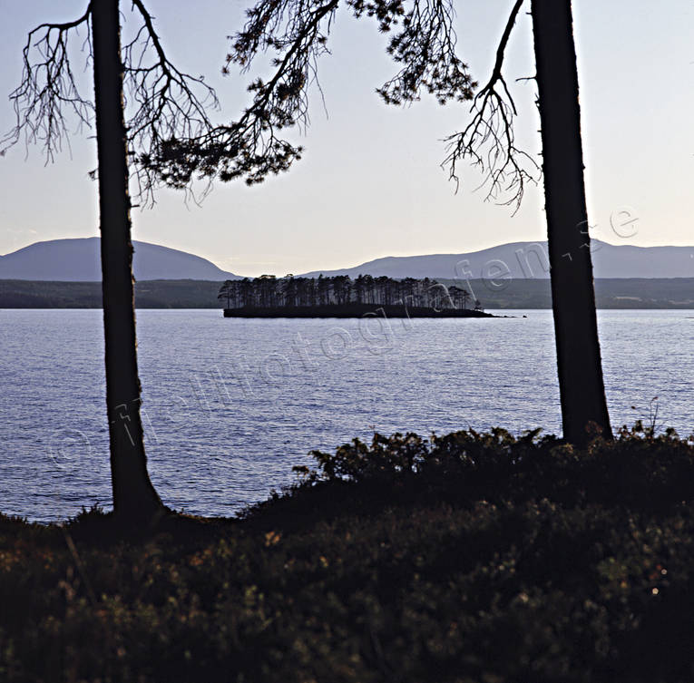 Great Lake, Jamtland, landscapes, Oviksfjallen, summer, Utarna