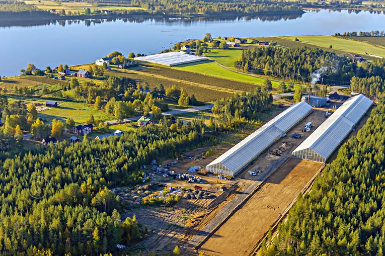 aerial photo, aerial photo, aerial photos, aerial photos, autumn, drone aerial, drnarfoto, farms, greenhouse, gurkodling, Hietalas Handelstrdgrd, installations, Korva, North Bothnia, polar circle, tomatodling