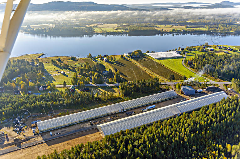 aerial photo, aerial photo, aerial photos, aerial photos, autumn, buildings, drone aerial, drnarfoto, engineering projects, farms, greenhouse, gurkodling, Hietalas Handelstrdgrd, installations, Korva, North Bothnia, polar circle, tomatodling