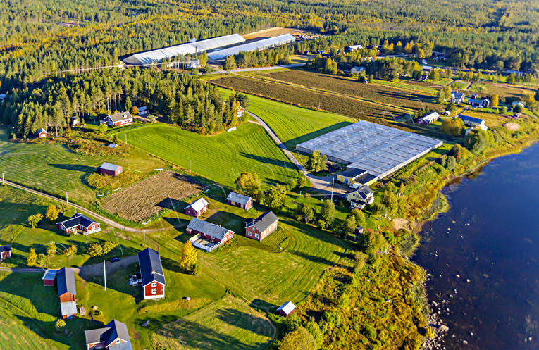 aerial photo, aerial photo, aerial photos, aerial photos, autumn, drone aerial, drnarfoto, farms, greenhouse, gurkodling, Hietalas Handelstrdgrd, installations, Korva, North Bothnia, polar circle, tomatodling