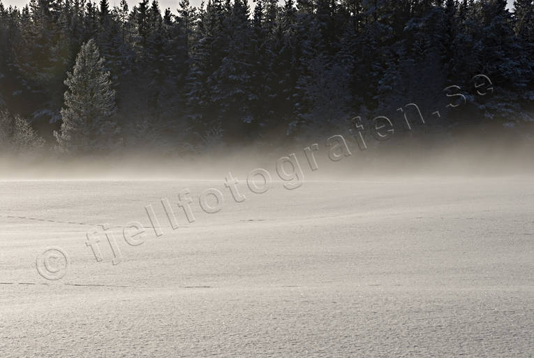cold, cold, fog, frostdimma, ground fog, mid-winter, season, seasons, snow, winter