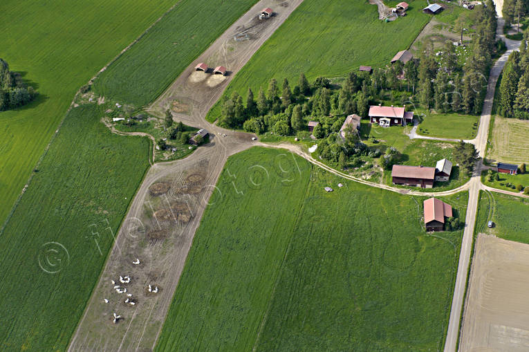 aerial photo, aerial photo, aerial photos, aerial photos, drone aerial, drnarfoto, Halsingland, summer