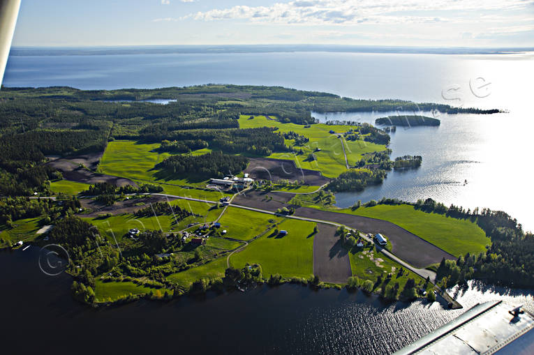 aerial photo, aerial photo, aerial photos, aerial photos, drone aerial, drnarfoto, Great Lake, Hammarnaset, Jamtland, landscapes, summer