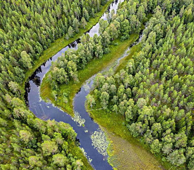 aerial photo, aerial photo, aerial photos, aerial photos, angling, creek, drone aerial, drnarbild, drnarfoto, fishing, fiske, flyfishing, forest creek, Hans Lidman, inspiration, Mllngsbon, Svartn