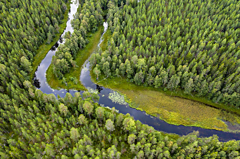 aerial photo, aerial photo, aerial photos, aerial photos, angling, creek, drone aerial, drnarbild, drnarfoto, fishing, fiske, flyfishing, forest creek, Hans Lidman, inspiration, Mllngsbon, Svartn