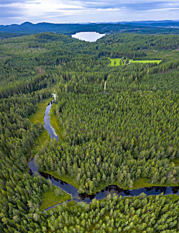 aerial photo, aerial photo, aerial photos, aerial photos, angling, creek, drone aerial, drnarbild, drnarfoto, fishing, fiske, flyfishing, forest creek, Hans Lidman, inspiration, Mllngsbon, Svartn