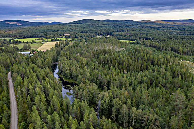 aerial photo, aerial photo, aerial photos, aerial photos, angling, creek, drone aerial, drnarbild, drnarfoto, fishing, fiske, flyfishing, forest creek, Hans Lidman, inspiration, Mllngsbon, Svartn