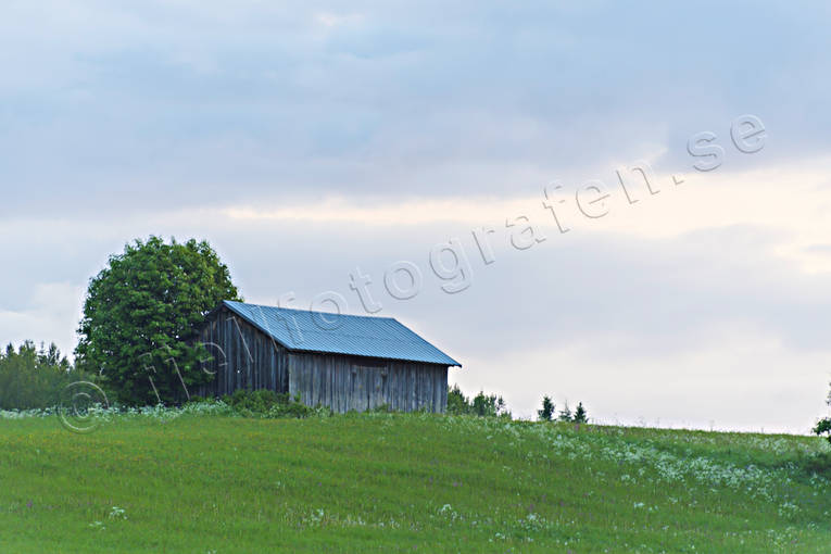 barn, buildings, hay barn, Jamtland, landscapes, pasture land, rain, sky, summer