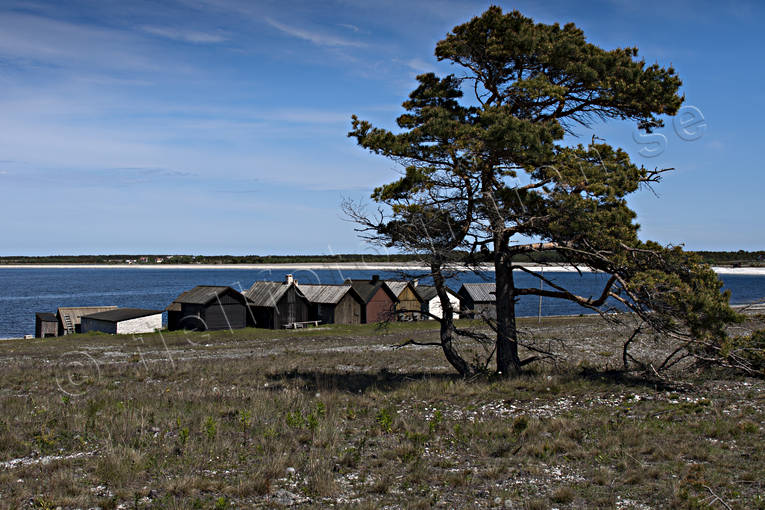 buildings, fishing cabin, fishing cabins, Gotland, havsband, Helgumannens fiskeläge, landscapes, nature, sea, sea, shops, summer